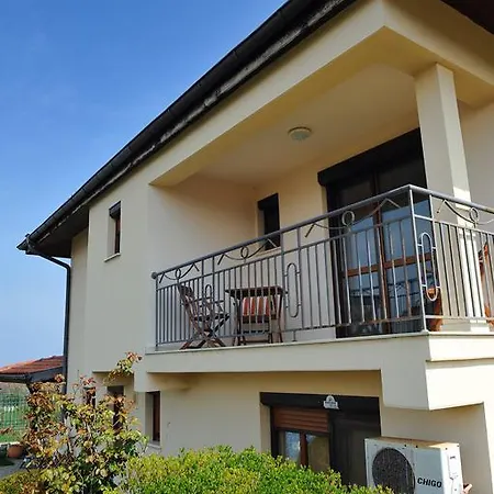 Elena Villa *